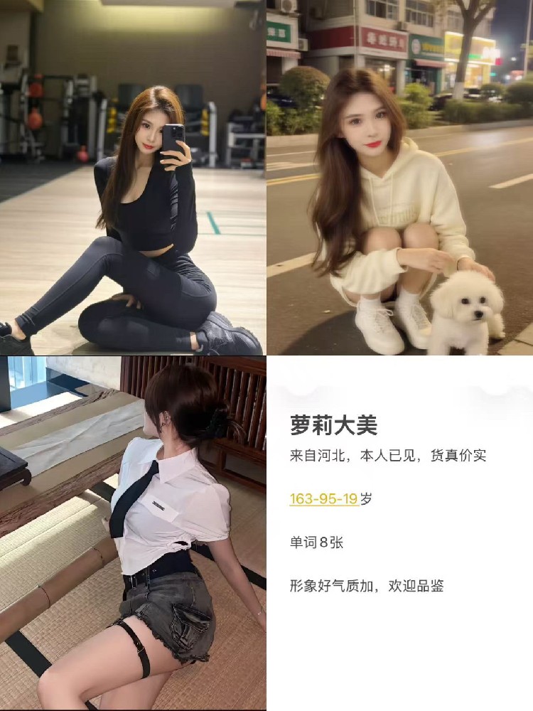 津南金益园8章茶