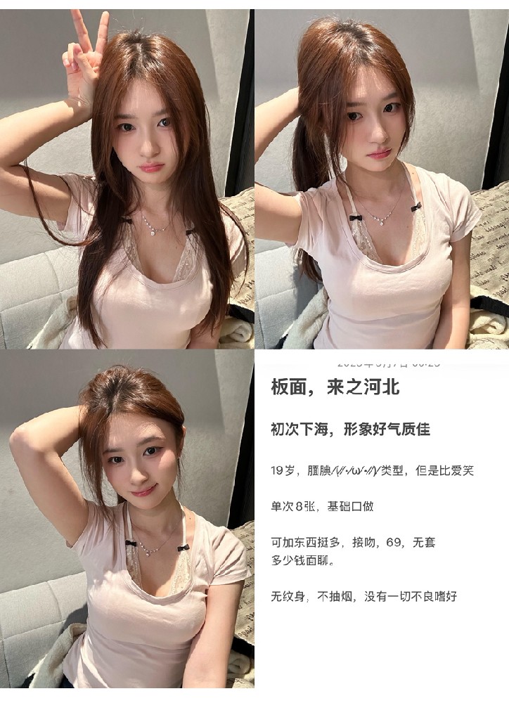 津南金益园8章茶